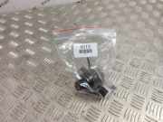 Kraftstoffpumpe Lexus RX 4 (L2) 2310131100
