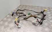 Kabelbaum LAND ROVER RANGE ROVER SPORT (L320) 3.0 D 4x4