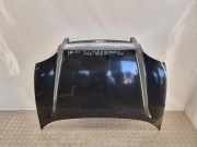 Motorhaube HYUNDAI SANTA FÉ I (SM) 2.0 CRDi 4x4