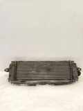 Ladeluftkühler NISSAN PRIMASTAR Furgon (X83) 2.5 dCi 150 8200411160C