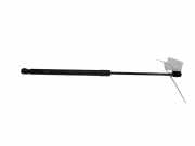 Heckklappe Gasdruckfeder links FORD FIESTA VII 1.1 Ti-VCT 8A61A406A10AC