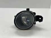 Nebelscheinwerfer vorne rechts NISSAN X-TRAIL (T30) 2.2 dCi 2615089905EW 88203561
