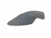 Schwellerleisten Citroen DS5 () 9688216977