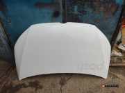 Motorhaube VW Caddy III Kombi (2KB)