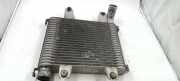 Ladeluftkühler Kia Carnival II (UP) 0K55313550
