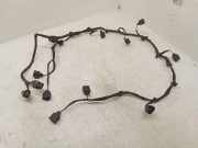 Kabelbaum Vorderen Parksensoren VW PHAETON (3D_) 3.0 V6 TDI 4motion