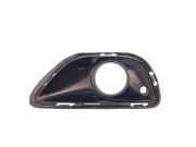 Blende Nebelscheinwerfer Porsche Cayenne 2 (92A) 7P5807824