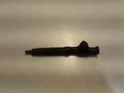 Einspritzdüse FORD GALAXY III (CK) 2.0 TDCi 9674984080