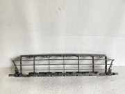 Kühlergrill unten Peugeot 207 () 9654357280