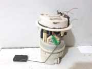 Kraftstoffpumpe Peugeot 307 ()
