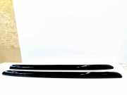 Dachreling links Citroen C4 Cactus ()