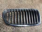 Vorderer oberer Gitter BMW 5 Touring (F11) 518 d 7261356