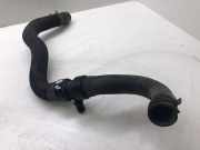 Schlauch Kühlung CITROËN DS4 2.0 HDi 165