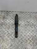 Stoßdämpfer hinten links HYUNDAI SANTA FÉ III (DM) 2.2 CRDi 4WD 553102W320