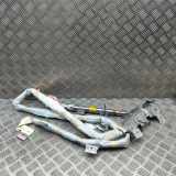 Airbag Dach rechts Toyota Prius Plus (W4) 6217047030