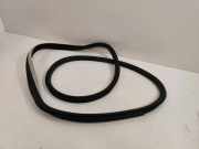 Türgummi links vorne Renault Espace V (JR)