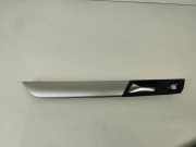 Türpolsterverkleidung hinten rechts VW PASSAT B7 (362) 1.6 TDI 3AA867449 3AA839113