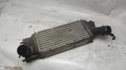 Ladeluftkühler PEUGEOT 407 (6D_) 2.0 HDi 135 0384G6