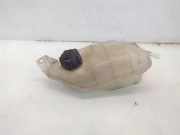 Ausgleichsbehälter NISSAN PRIMERA (P12) 1.9 dCi 21710BV000