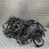Motor Kabelbaum JEEP GRAND CHEROKEE III (WH, WK) 6.1 SRT8 4x4 05030980AC 68029980AD
