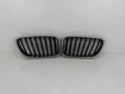 Vorderer oberer Gitter BMW 2 Coupe (F22, F87) 220 d 7295525