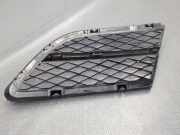 Kühlergrill unten BMW 3er Touring (E91) 7138418