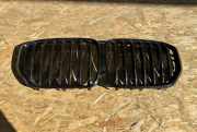 Vorderer oberer Gitter BMW X5 (G05) xDrive 30 d Mild-Hybrid 4022250