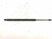 Heckklappe Gasdruckfeder rechts MERCEDES-BENZ M (W164) ML 320 CDI 4-matic (164.122)