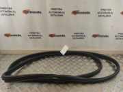 Türgummi links vorne Citroen Jumper III Kasten () B249