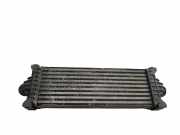 Ladeluftkühler Ford Transit V363 Pritsche/Fahrgestell (FED, FFD) CC119L440BF