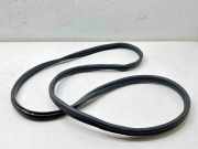 Türdichtungsgummi vorne links KIA NIRO E-NIRO 82120AT000