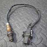 Sauerstoffsensor (Lambdasensor) LAND ROVER RANGE ROVER SPORT (L320) 3.0 D 4x4 9H2Q-9D375-AA
