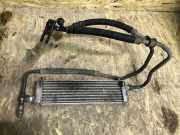 Ladeluftkühler RENAULT VEL SATIS (BJ0_) 3.0 dCi (BJ0J, BJ0N)