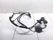 Türverkabelung hinten links KIA CARENS III (UN) 2.0 CVVT 916501D000 919803K060