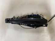 Türaußengriff hinten rechts BMW 1 (F21) 116 d 14389710 51227321642