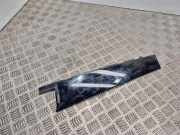 Türpolsterverkleidung hinten rechts FORD S-MAX 2.0 TDCi R254a40