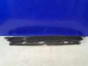 Gitter vorne unten POLESTAR 2 (P) EV 31663677