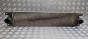 Ladeluftkühler OPEL MOVANO Furgon (F9) 2.5 DTI IA1305 874806M