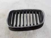 Vorderer oberer Gitter BMW 5 Gran Turismo (F07) 535 d xDrive 7200169