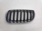 Vorderer oberer Gitter BMW X3 (E83) 3.0 d 340290902