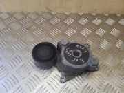 Riemenspanner TOYOTA AURIS (_E15_) 2.0 D-4D (ADE150_) 166200R010