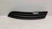 Gitter vorne unten VW PASSAT B6 (3C2) 2.0 FSI 3C0853665