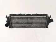 Ladeluftkühler NISSAN PRIMASTAR Furgon (X83) 2.0 dCi 115 8200411160C