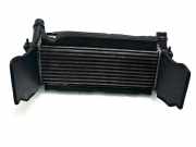 Ladeluftkühler Nissan Navara Pritsche/Fahrgestell (D23) 144614JA0B