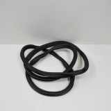 Türdichtungsgummi hinten links BMW 5 (G30) 530 e iPerformance 7381326