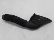 Schlauch für Luftversorgung Renault Grand Scenic II (JM) 8200177232