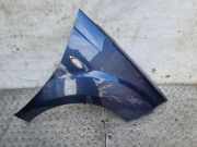 Kotflügel vorne rechts PEUGEOT 4007 (GP_) 2.2 HDi