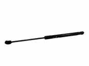 Gasfeder für Motorhaube Hyundai Santa Fe II (CM) 811602B010