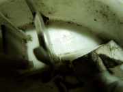 Kraftstoffpumpe Audi A4 (8E, B6) 8E0919051