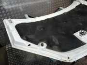 Motorhaube Ford Focus IV (HN)